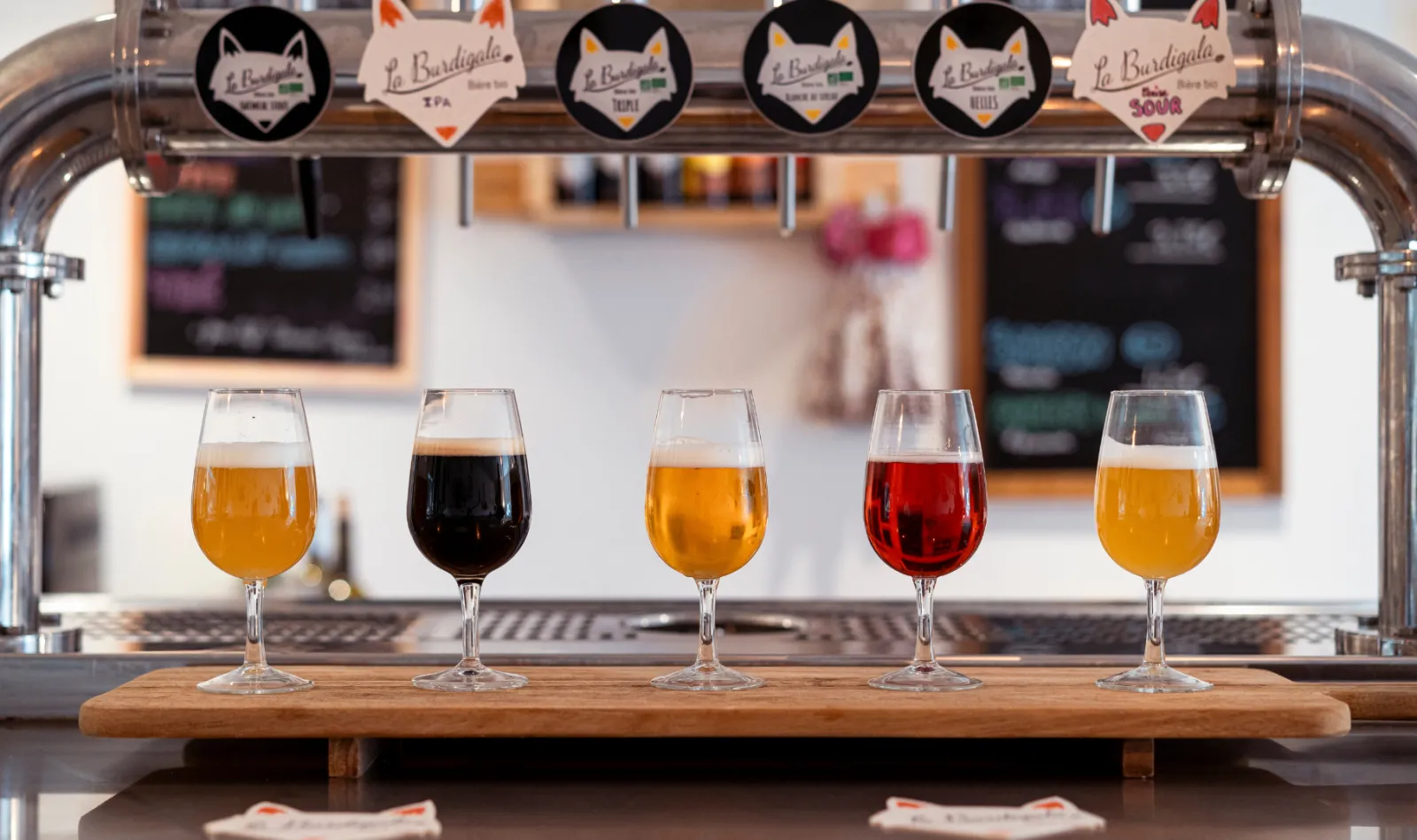 A tasting flight of five craft beers from Burdigala brewery in Bordeaux, displayed in glasses on a wooden counter, with beer taps and labels visible in the background.