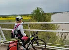 Cyclist wearing a helmet and safety vest riding a bike on a bridge in Bordeaux, with yellow fields in the background