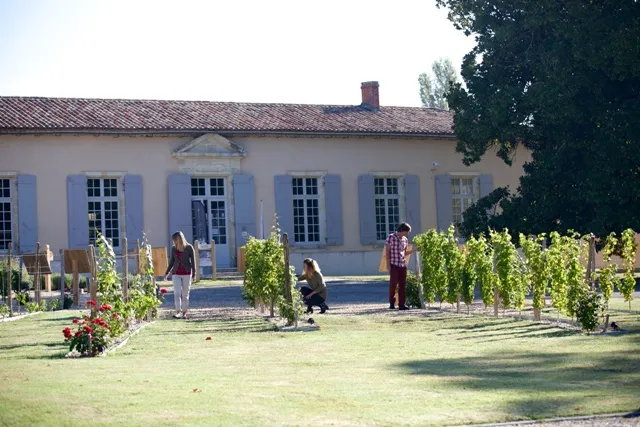 Cadillac Wine House in Bordeaux: a historic stone building with blue shutters surrounded by vineyard rows and visitors in the gardens.