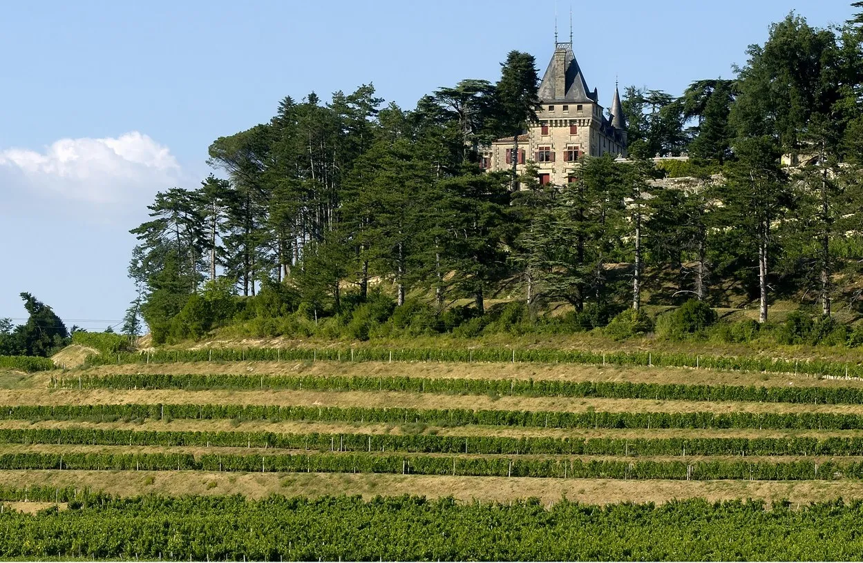 Château de Pressac overlooks Bordeaux vineyards from a forested hilltop, featuring distinctive pointed towers and terraced wine rows below.