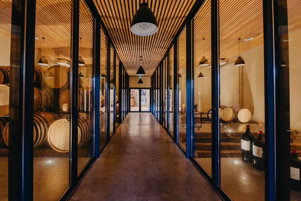 Modern corridor of a wine cellar featuring wooden barrels stored behind glass panels on both sides, wooden slat ceiling, black pendant lights, and polished concrete floor.