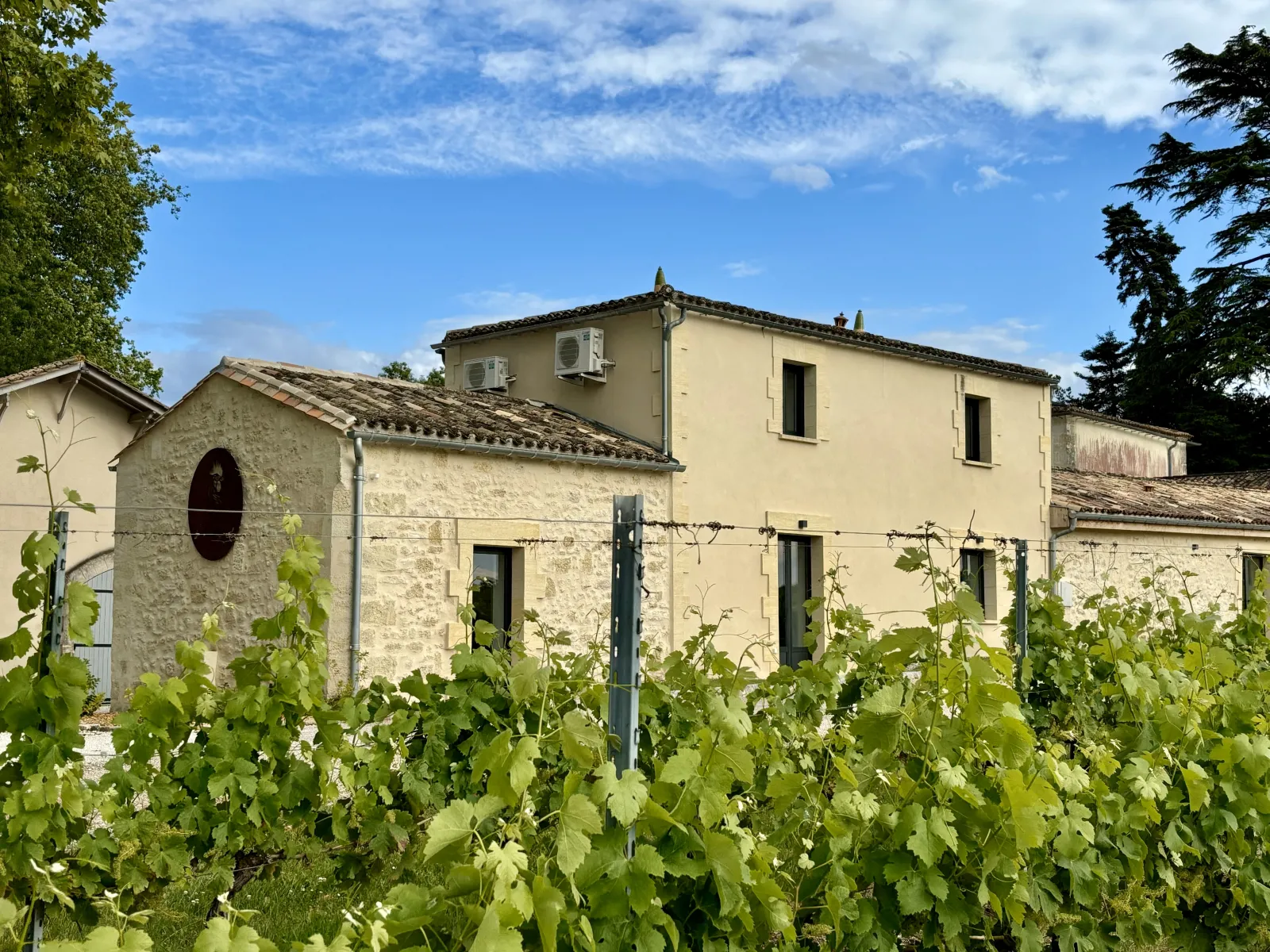 Château l'Éperon in Bordeaux: beige stone building with grapevines in foreground, classical 18th-century Bordeaux architecture