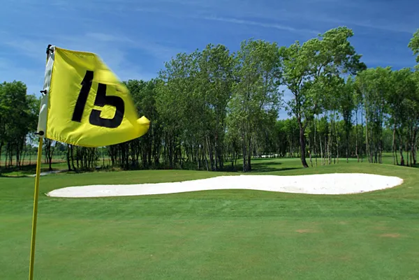 Yellow flag numbered 15 on a golf course green with white sand bunker, surrounded by trees and green grass