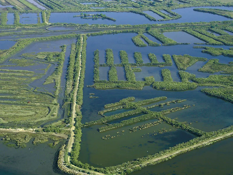 Aerial view of the Certes-Graveyron estates near Bordeaux featuring rectangular fish farming ponds surrounded by embankments and vegetation, with freshwater parcels and drainage channels