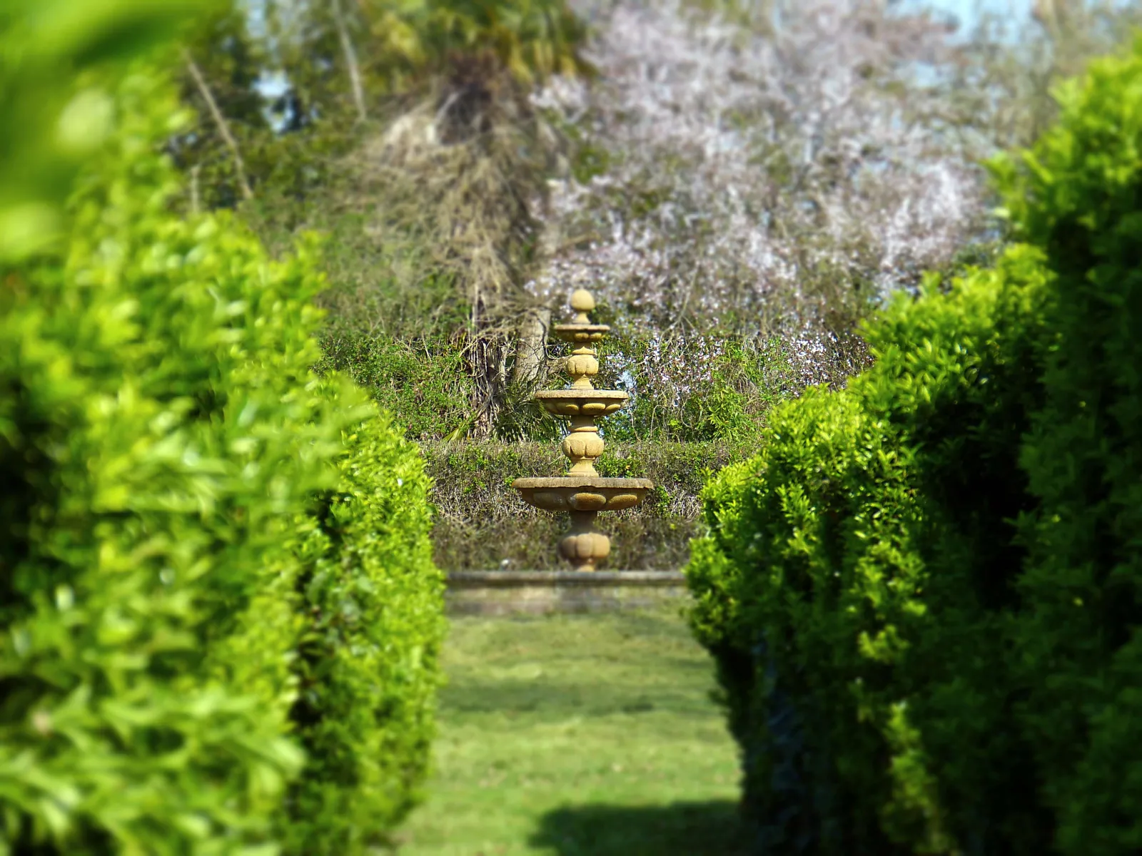 Garden pathway lined with trimmed green hedges leading to a stone fountain in the park of Château Beau Rivage in Bordeaux