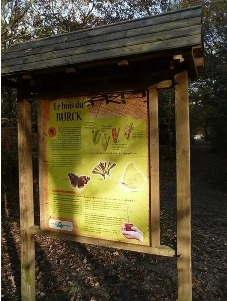 Wooden information panel about Bois du Burck in Bordeaux, displaying details about local wildlife and flora with illustrations of butterflies and insects.