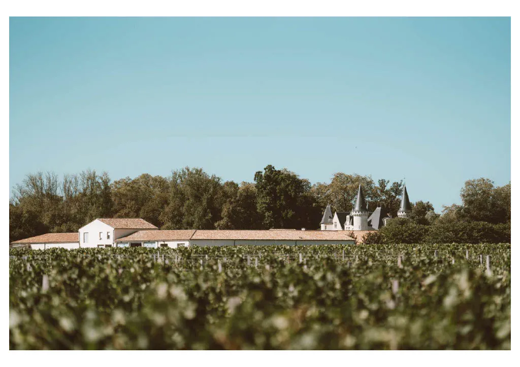 Château d'Agassac with its distinctive towers surrounded by vineyard rows in Bordeaux region