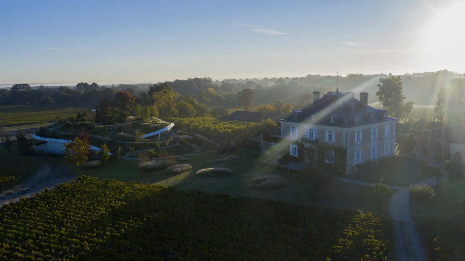 Aerial view of Château Haut-Bailly near Bordeaux, a white stone manor surrounded by vineyards and morning mist, with a blue pond in the background and Gironde countryside.