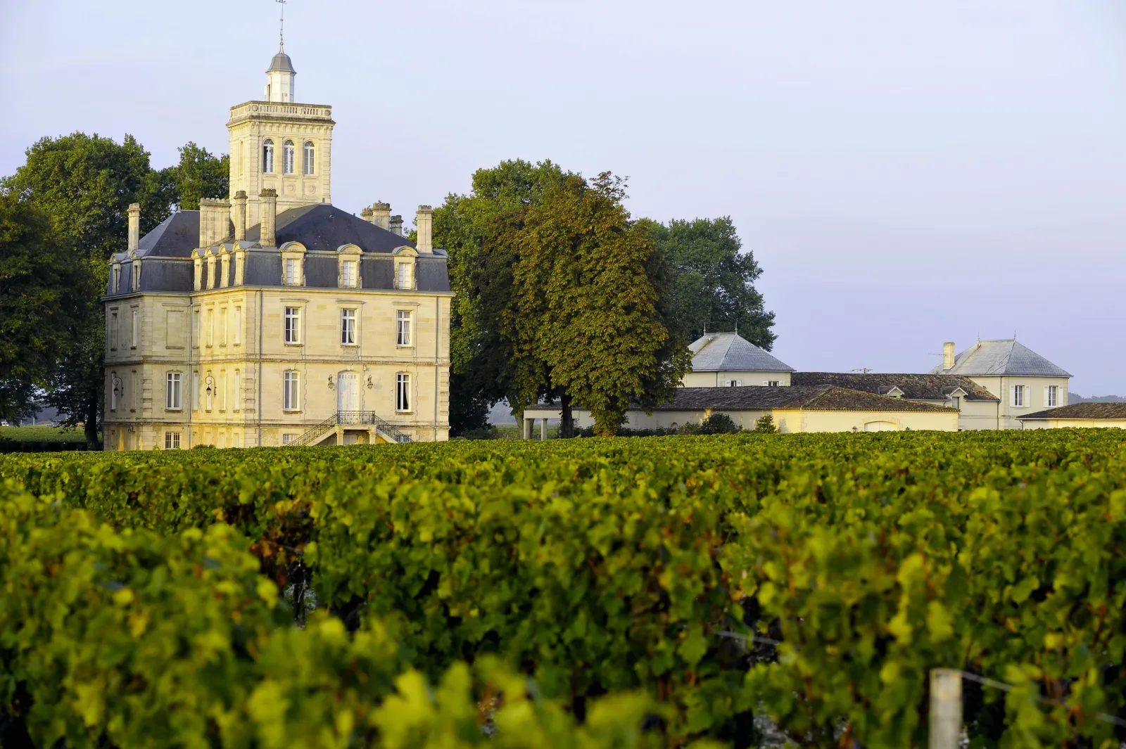 Château Larose-Trintaudon in Bordeaux, a pale yellow stone mansion with an octagonal tower and mansard roof, surrounded by green vineyards and outbuildings.