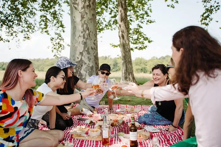 A group of six people toasting with glasses around a red and white checkered picnic table beneath large trees near Bordeaux at Château Le Grand Verdus.