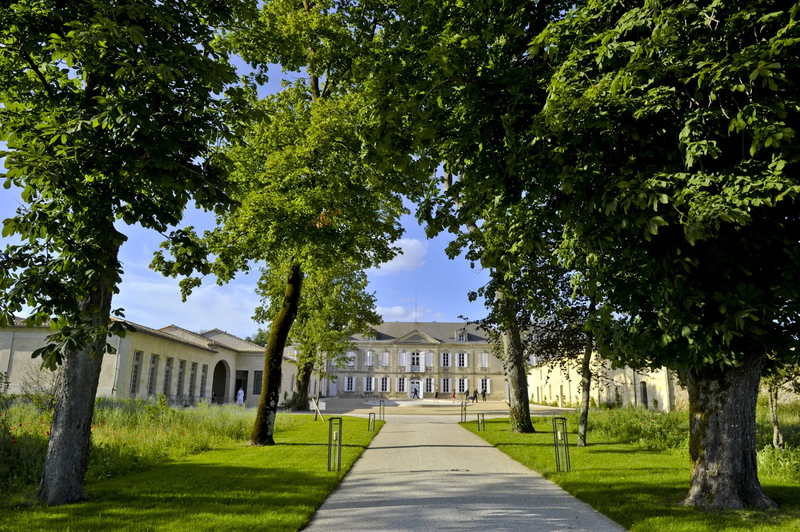 Tree-lined avenue with century-old trees leading to a neoclassical château with pale yellow facades, green lawn and blue sky in Bordeaux.