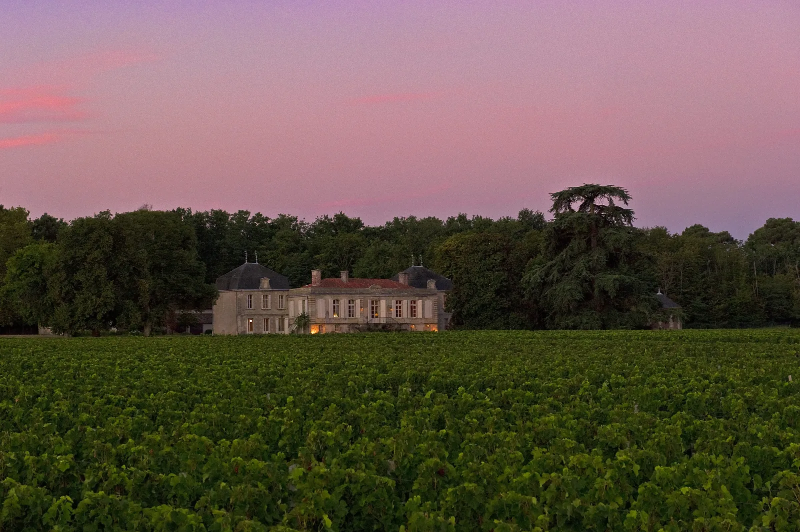 Château Picque Caillou in Bordeaux at dusk, surrounded by lush vineyards and trees, with a pink and purple sky in the background.
