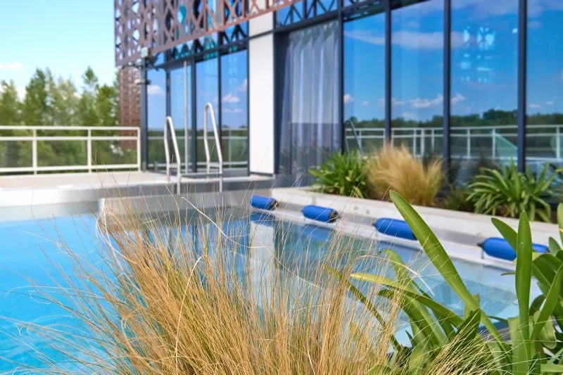 Outdoor swimming pool with blue loungers, decorative plants in the foreground, and a modern building with large glass windows overlooking trees and blue sky.
