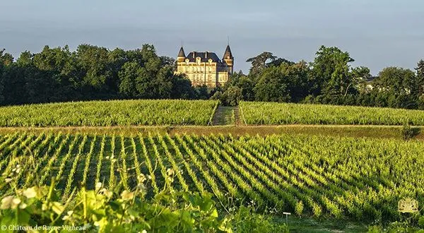 Panoramic view of Sauternes Castle overlooking neatly arranged vineyard rows in the Bordeaux wine region