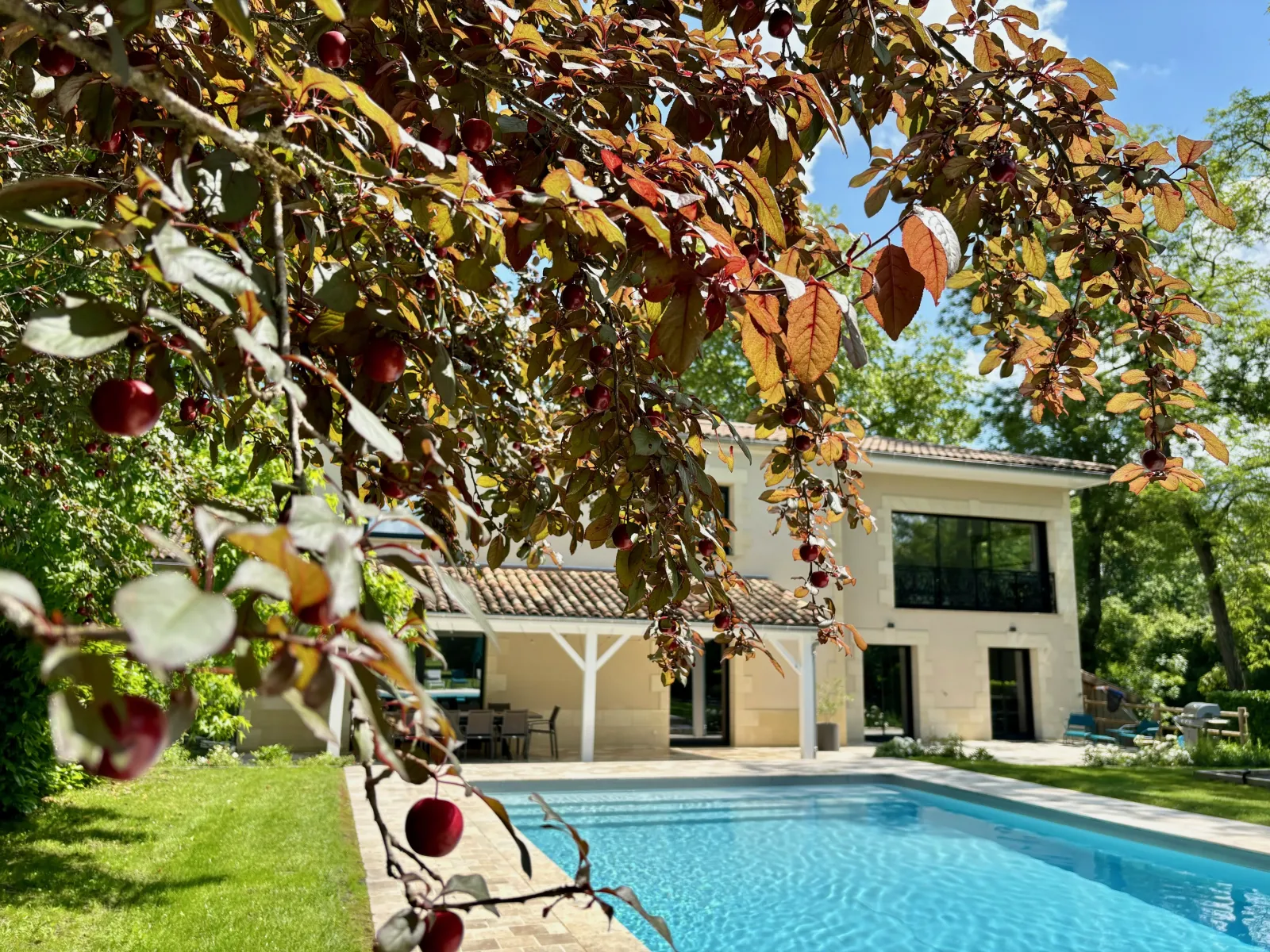 Modern white house with infinity pool surrounded by lush garden and pergola, with red fruits in the foreground at Bordeaux.