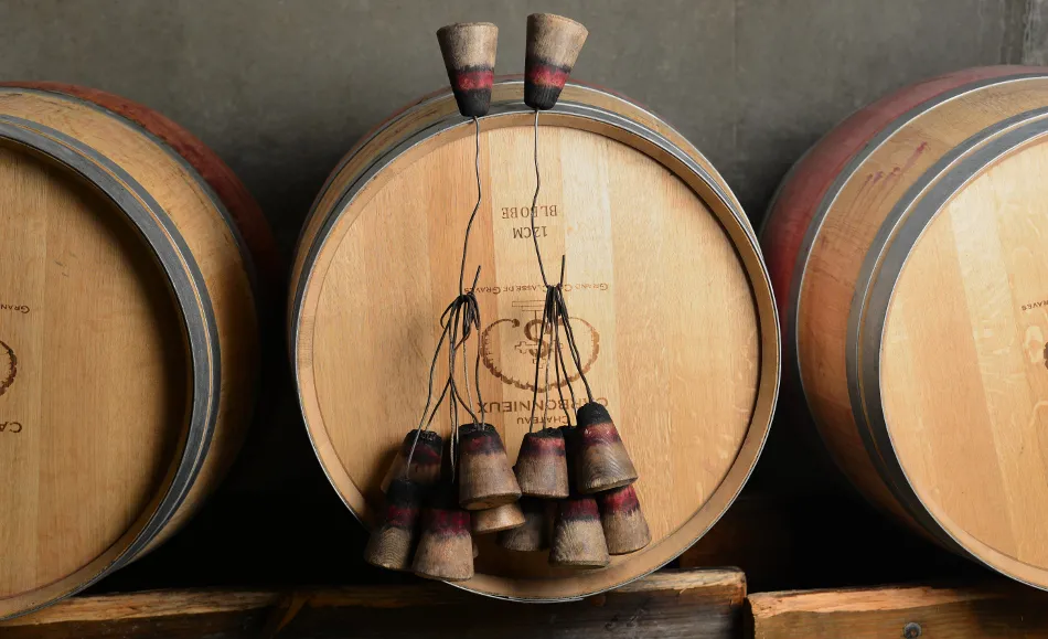 Three oak barrels lined up in a Bordeaux cellar, the center barrel equipped with tasting taps with pink and black bands, at Château Carbonnieux.