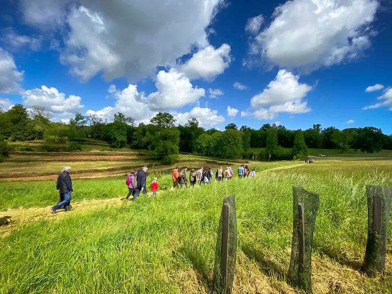 Group of visitors walking through the vineyards of Château Le Grand Verdus near Bordeaux on a sunny day with blue sky and white clouds.