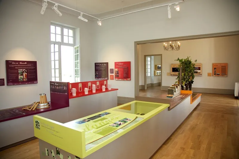 Interior of the Cadillac Wine House in Bordeaux featuring modern display cases with red and burgundy information panels, a neon yellow central showcase with educational content, wooden display furniture, directional lighting, and doorways leading to addit