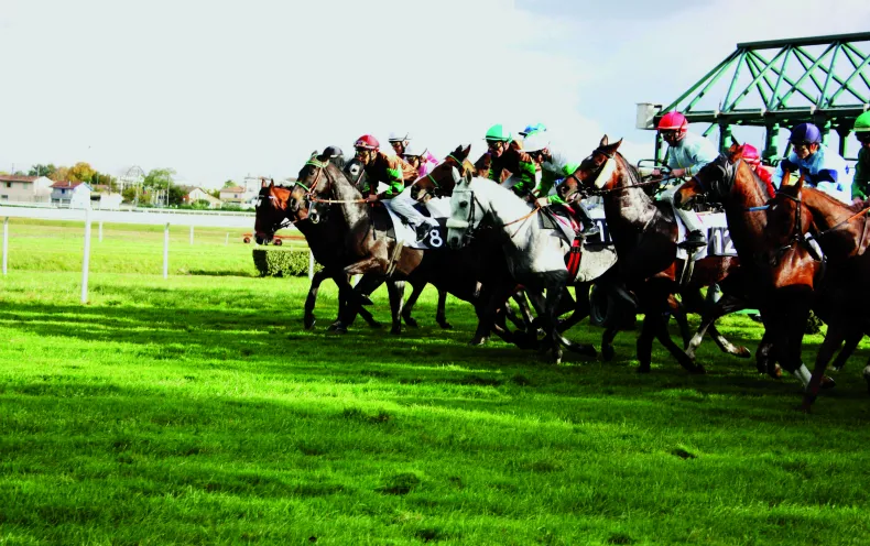 Horse racing event at Bordeaux-Le Bouscat racecourse with multiple jockeys riding horses galloping on green turf, metal grandstand structures visible in the background