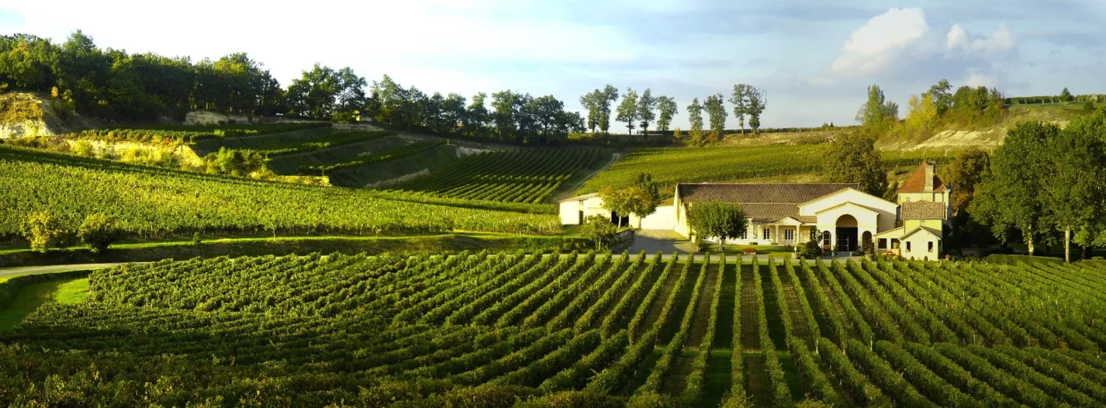 Panoramic view of Château Mangot surrounded by terraced vineyards in the Bordeaux region, with yellow and white buildings nestled in a lush rolling landscape.