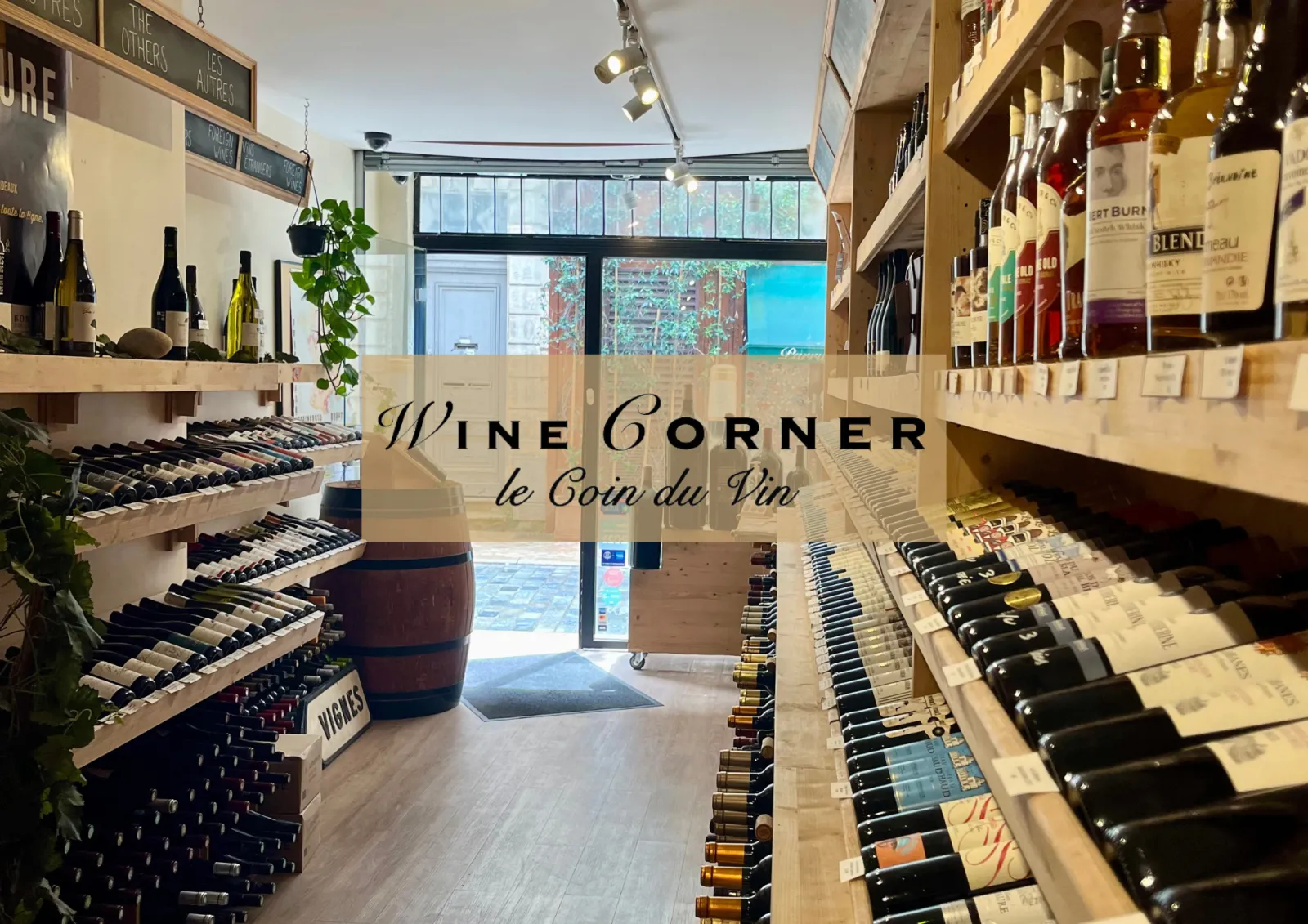 Interior of Wine Corner - Le Coin du Vin shop in Bordeaux, featuring wooden shelves displaying wine bottles, a wooden barrel, green plants, and storefront signage.