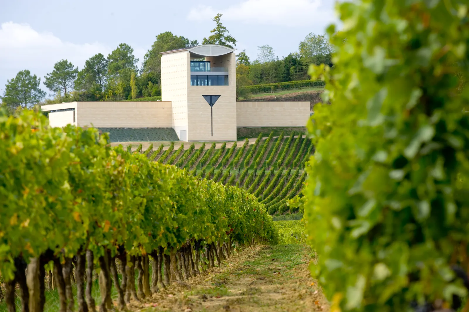 Château Faugères, a contemporary white building with central tower, set within Bordeaux vineyards