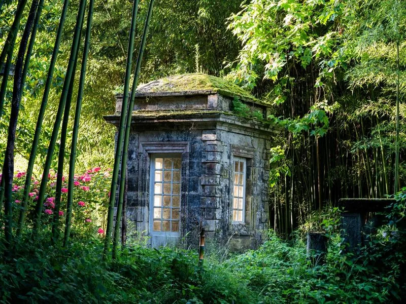 Stone cottage covered with moss surrounded by tall bamboo and lush green vegetation, with pink flowers visible on the left, at Château de Sales in Bordeaux.