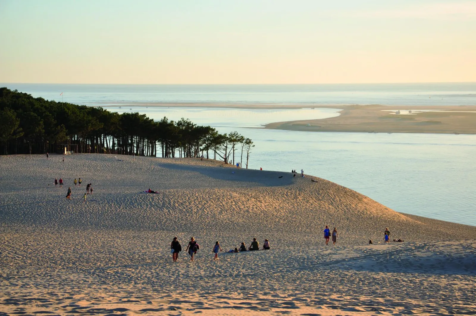 The Dune of Pilat near Arcachon close to Bordeaux, with visitors on fine sand, lined with maritime pines overlooking the turquoise waters of Arcachon Bay.