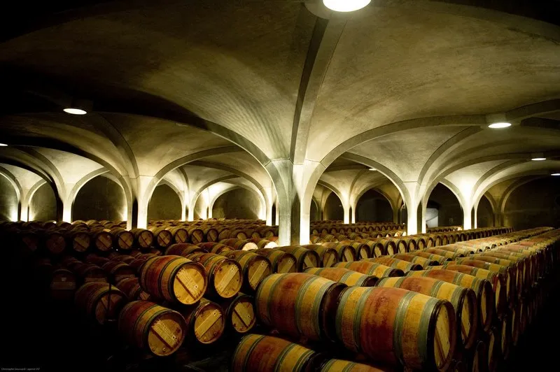 Interior of Château Gruaud Larose wine cellar in Bordeaux, showing rows of oak barrels arranged under illuminated arched concrete vaults