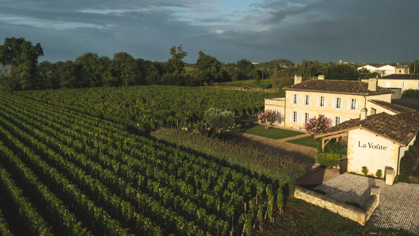 Aerial view of Château La Voûte in Bordeaux featuring terraced vineyards, a pale yellow building with blue shutters, surrounded by lush green grapevines and forests under a cloudy sky.