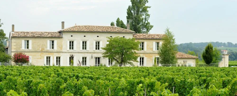 Grand Corbin-Despagne Castle in Bordeaux, a classical white stone mansion surrounded by vineyard rows, featuring symmetrical windows and clay tile roof.