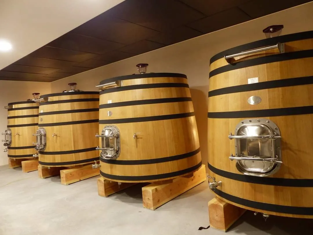 Row of wooden oak barrels with black hoops in a wine cellar at Château Pierre de Montignac, Bordeaux
