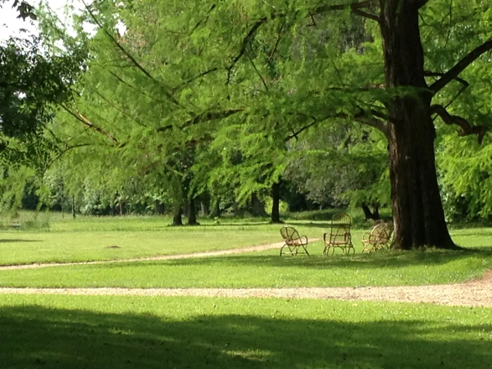 Shaded park with large century-old trees, green lawn and garden chairs arranged under an oak tree, at Table de Siaurac in Bordeaux