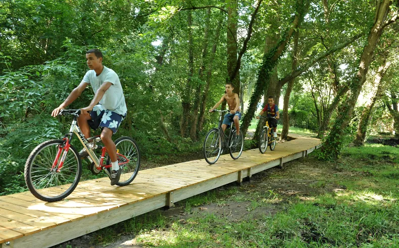 Four cyclists riding on a wooden path through a lush green forest at the Moulin Bidon site in Bordeaux.