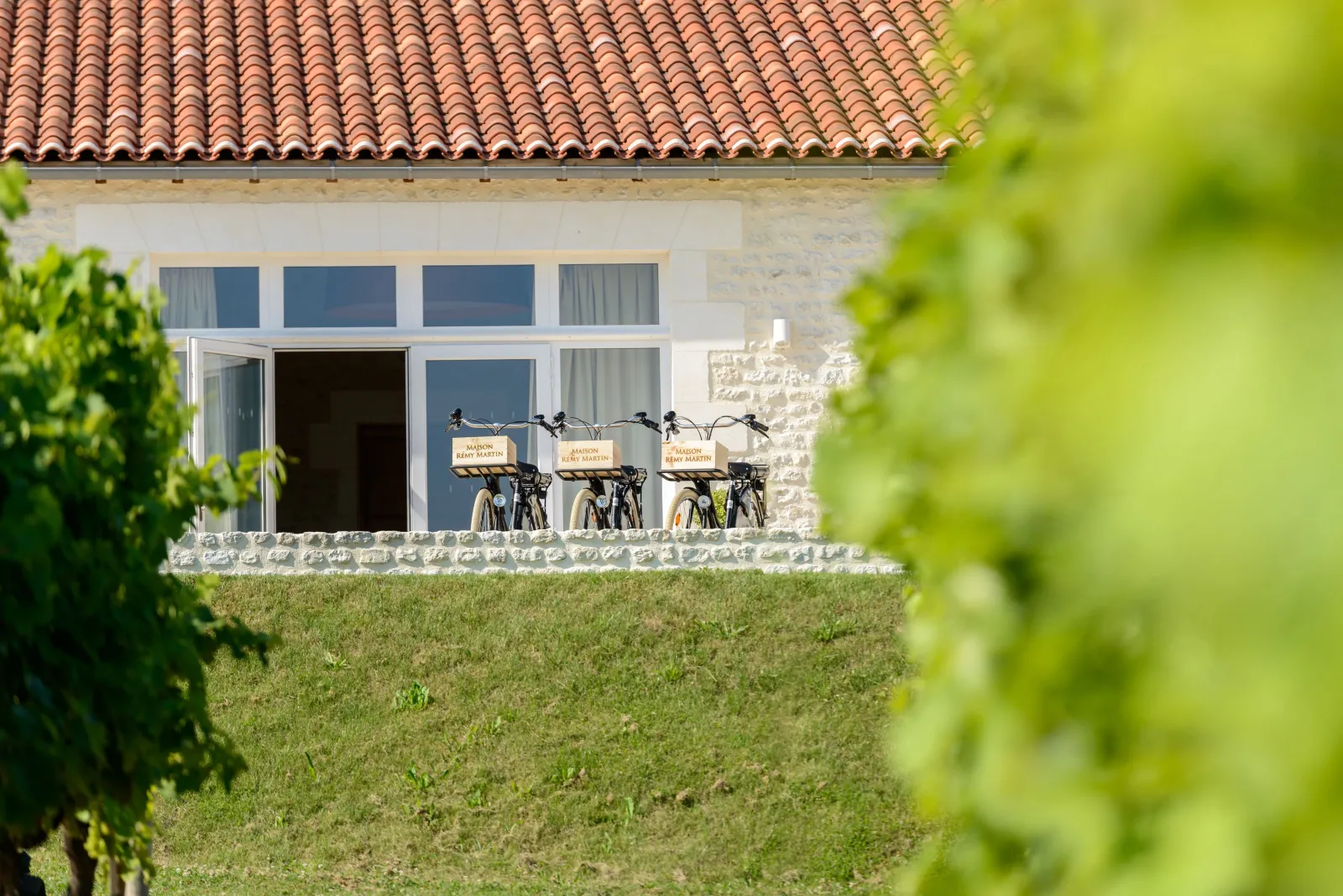 Three delivery bicycles with baskets from Maison Rémy Martin parked on the terrace of a stone house in Bordeaux, featuring red tile roof and blue windows