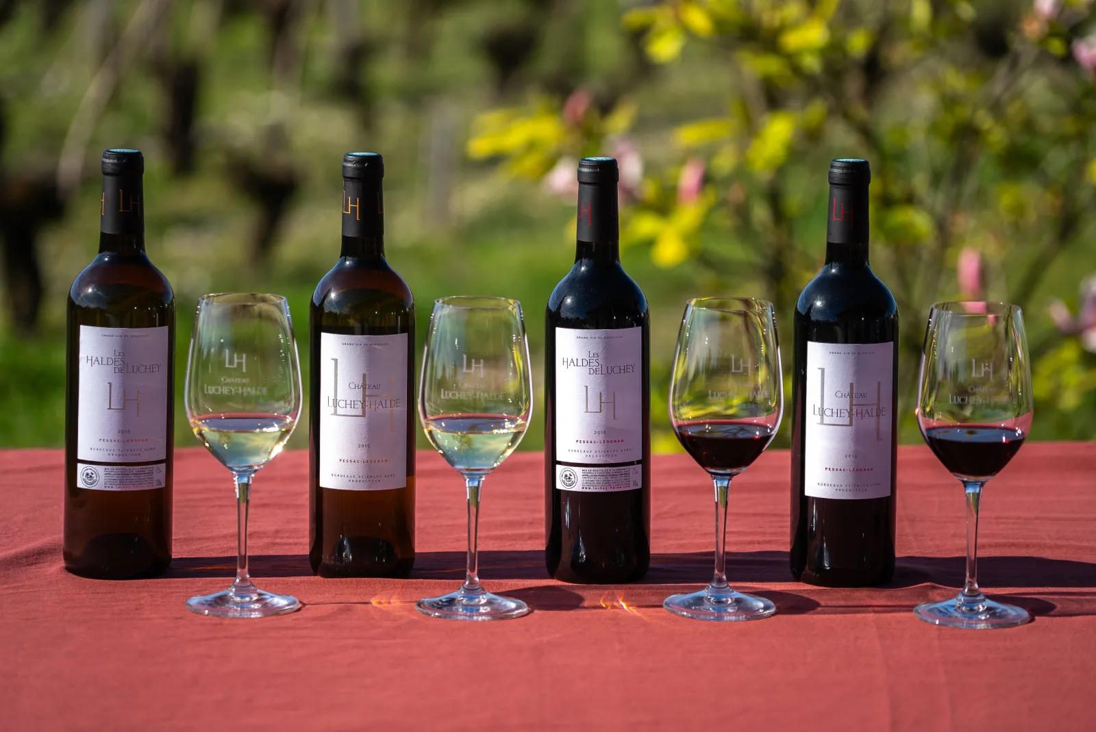 Wine tasting from Château Luchey-Halde in Bordeaux: four bottles and glasses containing red and white wines arranged on a red tablecloth with vineyard in the background.