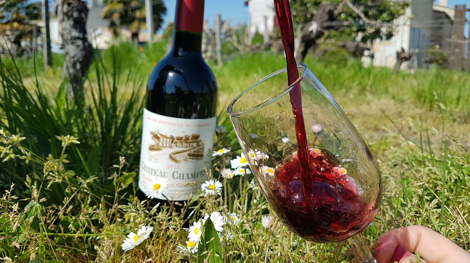 Glass of red wine being poured in front of a Château Champion bottle from Bordeaux, surrounded by wild daisies and greenery.