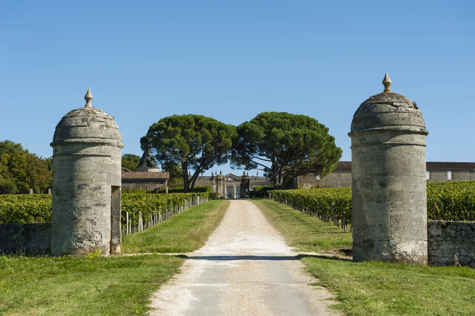 Driveway leading to Château Saint-Georges in Bordeaux, flanked by two round stone towers with domed roofs, vineyards on either side, and the château visible in the distance under a clear blue sky.