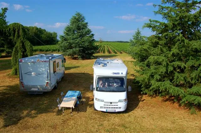 Two motorhomes parked in a vineyard field with grapevines in the background, near Bordeaux at Château Pichon Bellevue