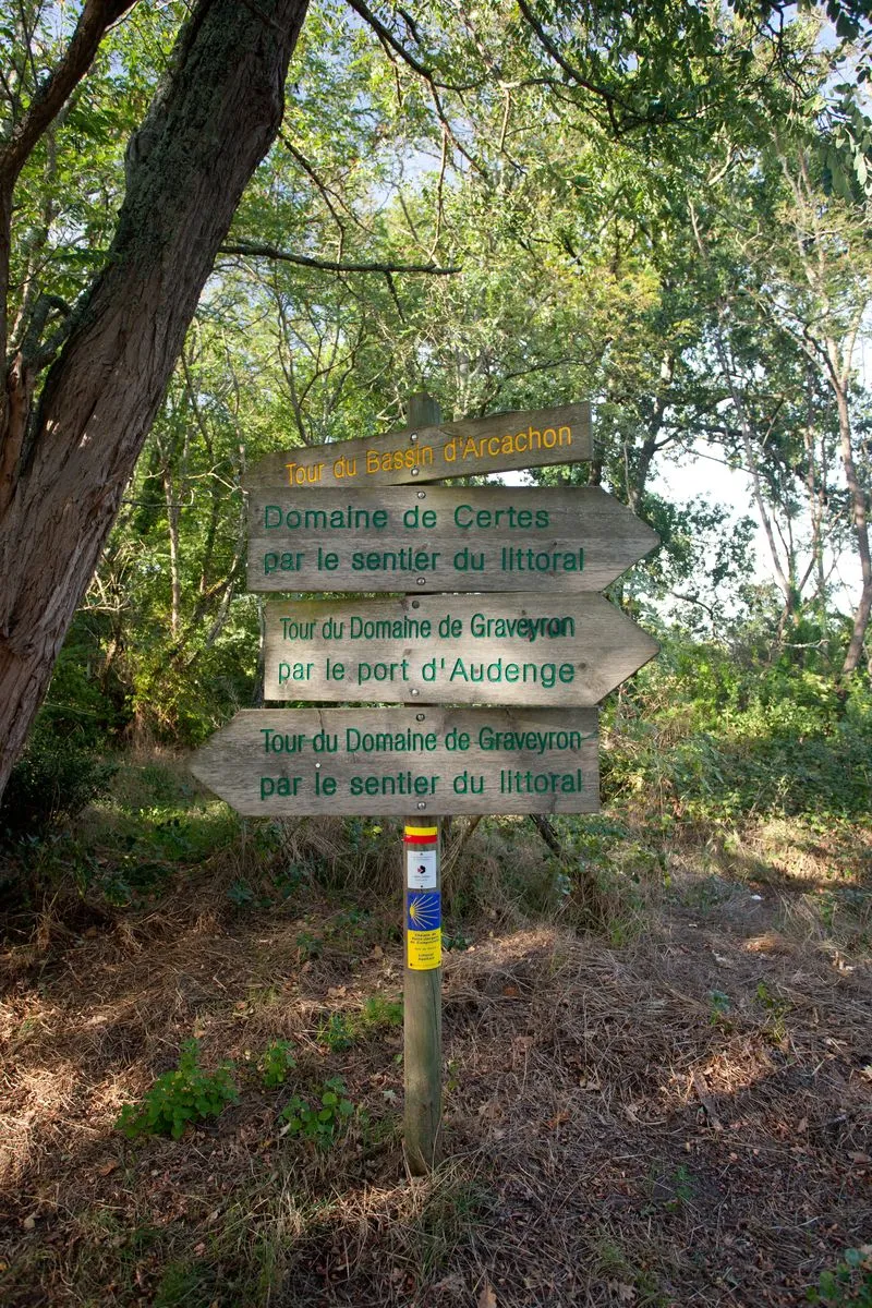 Wooden directional signpost indicating paths to the Bassin d'Arcachon Tower, Certes Estate, and Graveyron Estate Tower, located beneath a large tree in a forest near Bordeaux.