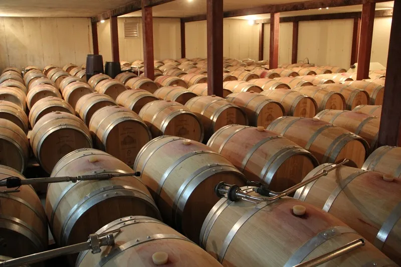 Aging cellar at Château de Lisennes in Bordeaux featuring rows of wooden oak barrels stored in an underground wine cellar.