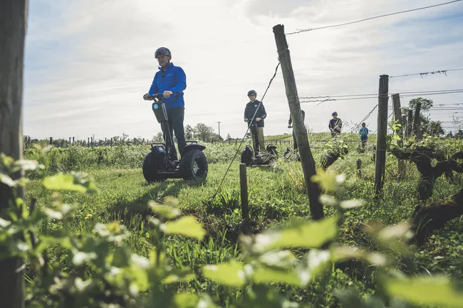 Group of people riding Segways through Bordeaux vineyards, navigating between rows of vines with support posts visible.