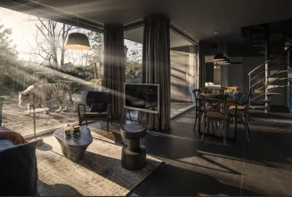 Modern interior space with panoramic glass windows overlooking a white tiger enclosure, featuring contemporary furniture and minimalist décor.