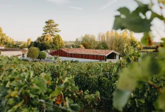 Rol Valentin Château in Bordeaux featuring red-roofed buildings surrounded by vineyards with trees in the background