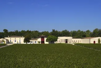 Panoramic view of Domaine de Chevalier near Bordeaux: cream and beige buildings with red doors, lush green vineyards in foreground, tree line in background, clear blue sky.