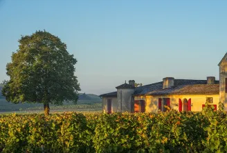 Château Sigalas Rabaud in Bordeaux with yellow walls and red shutters, surrounded by vineyards at sunset, with a large tree nearby