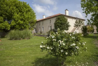 Pierre de Montignac Castle, a white stone house with tiled roof surrounded by a lush green garden with white flowers in the foreground, near Bordeaux.
