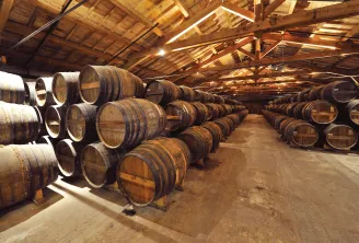 Interior of an aging cellar with rows of wooden oak barrels stacked in a timber-framed warehouse, Rémy Martin House, Bordeaux