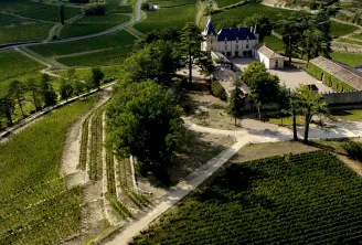 Aerial view of Château de Pressac surrounded by vineyards in the Bordeaux wine region, featuring the main building with blue slate roofs and estate outbuildings.