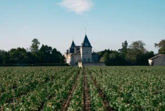 Château Tronquoy in Bordeaux: a castle with two pointed turrets with dark blue roofs, surrounded by vineyards and trees under a clear sky.